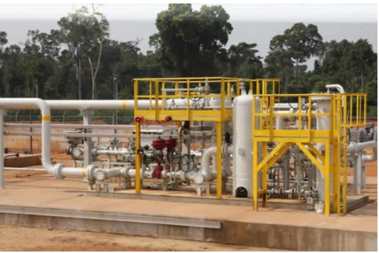 Cameroun : Sunon Asogli et China Energy sélectionnées pour la construction de la centrale à gaz de Limbé pour 176 milliards FCFA