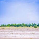 FB_IMG_1762760485797